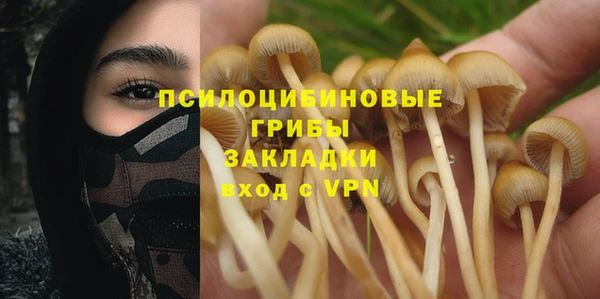 прущие грибы Балабаново