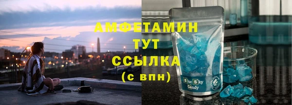 прущие грибы Балабаново