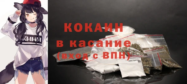 прущие грибы Балабаново