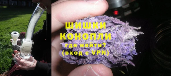 прущие грибы Балабаново