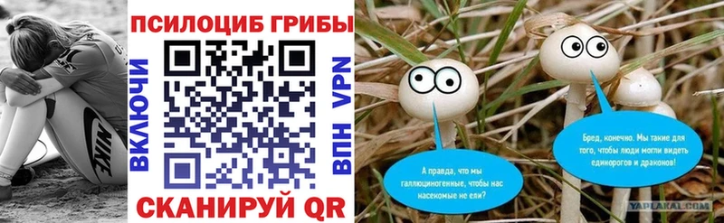 хочу   shop Telegram  Псилоцибиновые грибы мицелий  Богородск  МЕГА ONION 